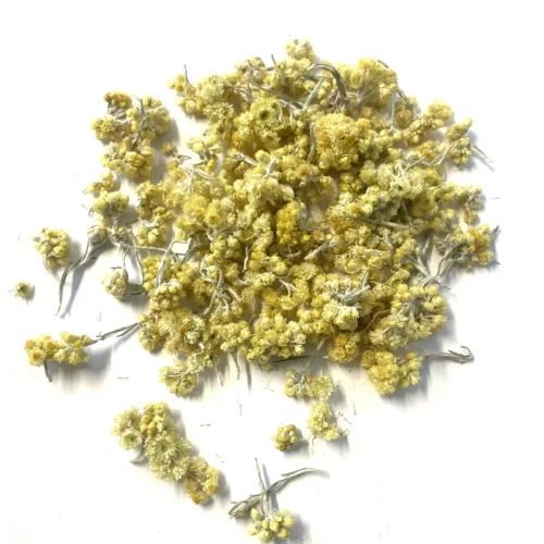 Acheter de l'immortelle helichryse