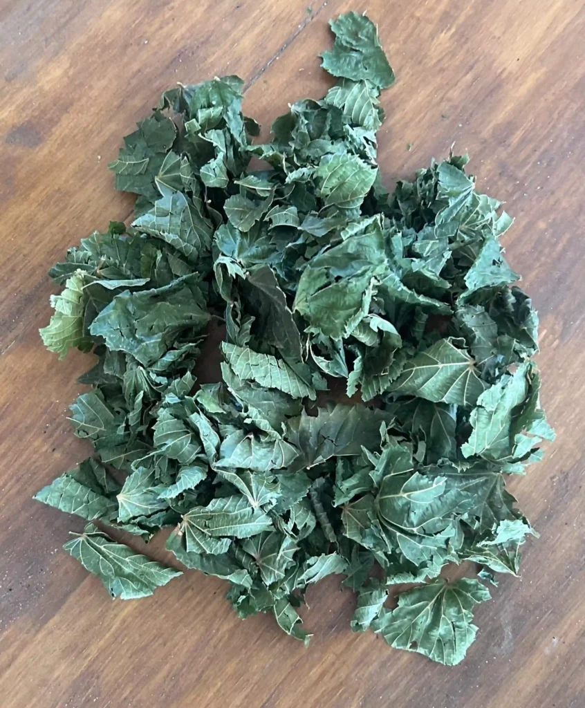 Utiliser les feuilles de tilleur séchées en cuisine