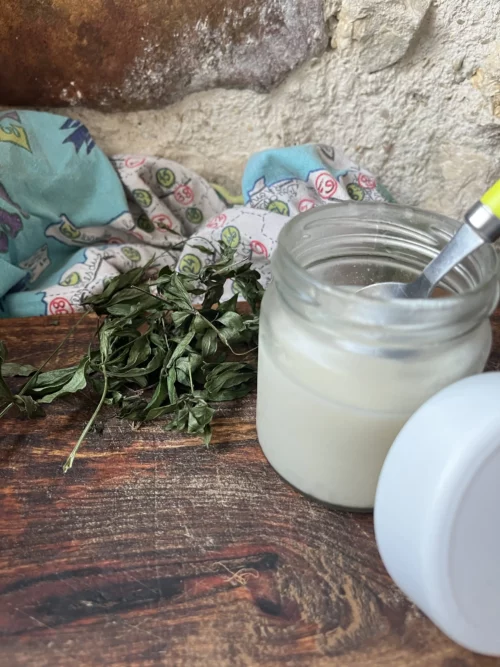 recette panna cotta à l'aspérule