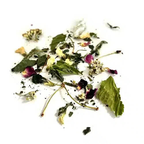 Tisane Drainante