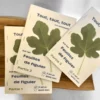 Livre digital - TOUT sur les feuilles de figuier (ou presque !)
