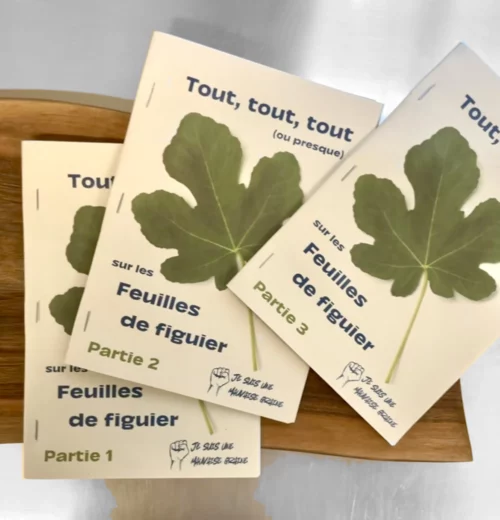 Livre digital - TOUT sur les feuilles de figuier (ou presque !)