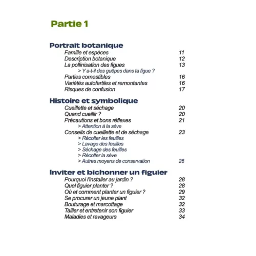Tout sur les feuilles de figuier - partie 1