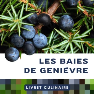 Utiliser les baies de genièvre - Livret de botanique culinaire