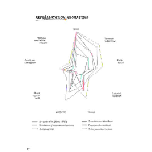 Représentation aromatique - Baies de genièvre