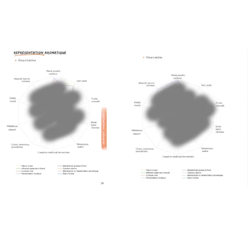 Utiliser les fleurs de sureau - Livret botanique culinaire