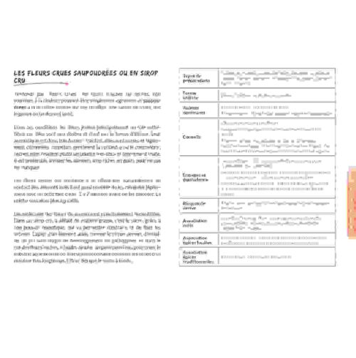 Livret culinaire - Utiliser les fleurs de sureau en cuisine