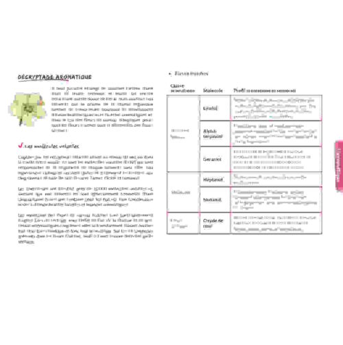 Livret culinaire - Utiliser les fleurs de sureau en cuisine