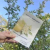 Utiliser les fleurs de sureau en cuisine - Livre imprimable