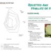 Botanique culinaire et savoirs - tout sur les feuilles de figuier 8 Botanique culinaire et savoirs - tout sur les feuilles de figuier