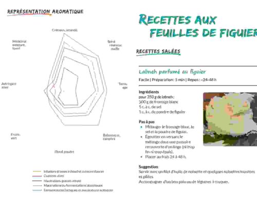 Botanique culinaire et savoirs - tout sur les feuilles de figuier 8 Botanique culinaire et savoirs - tout sur les feuilles de figuier