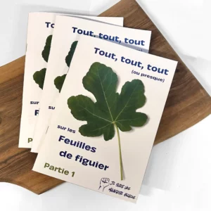 Tout sur les feuilles de figuier - 3 livrets A5