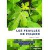 Tout sur les feuilles de figuier - un guide de botanique culinaire complet