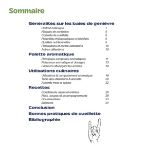 Sommaire comment utiliser les baies de genièvre en cuisine