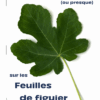 Tous sur les feuilles de figuier - Partie 3