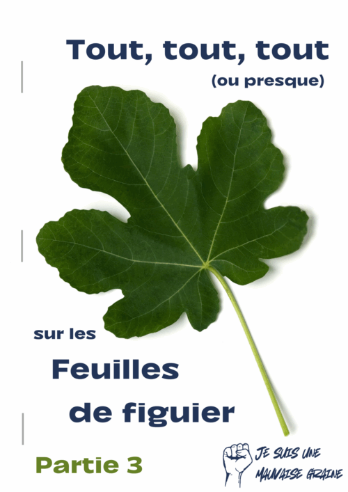 Tous sur les feuilles de figuier - Partie 3