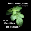 Tout sur les feuilles de figuier