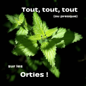 Livre digital - TOUT sur les orties (ou presque !)