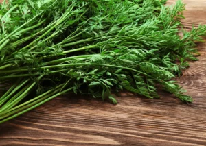 Recettes aux fanes de carotte