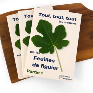 Tout sur les feuilles de figuier - 3 livrets A5 Tout sur les feuilles de figuier - 3 livrets A5