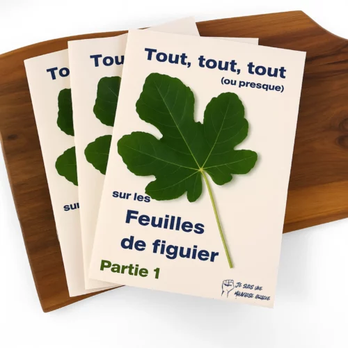 Tout sur les feuilles de figuier - 3 livrets A5