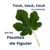 Utiliser des feuilles de figuier - livret complet