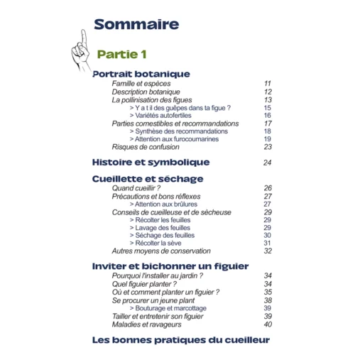 Utiliser les feuilles de figuier - partie 1
