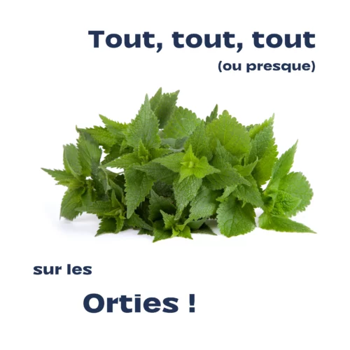 Utiliser les orties - livre complet Utiliser les orties - livre complet