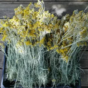 Règlementation alimentaire - PPAM et plantes sauvages