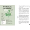 Je cuisine les mauvaises graines carotte sauvage Je cuisine les mauvaises graines carotte sauvage