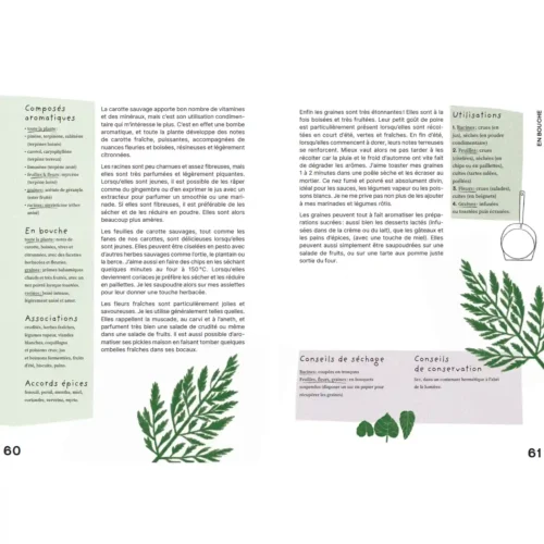 Je cuisine les mauvaises graines carotte sauvage 2 Je cuisine les mauvaises graines carotte sauvage 2