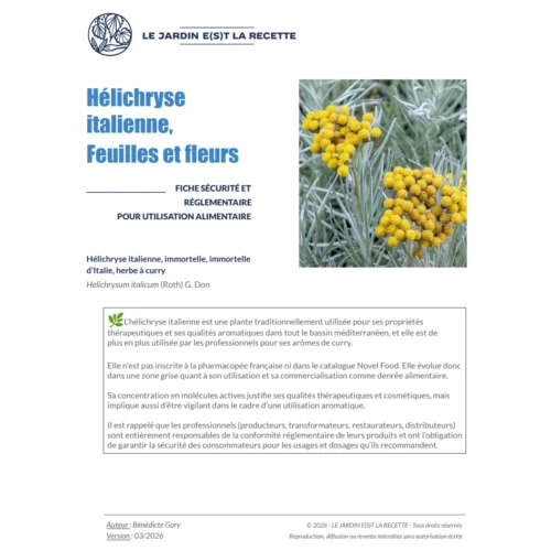 Hélichryse italienne (immortelle) - Sécurité et Réglementation Hélichryse italienne (immortelle) - Sécurité et Réglementation