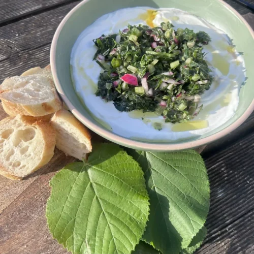 Utiliser les feuilles de tilleul - Salsa verde Utiliser les feuilles de tilleul - Salsa verde