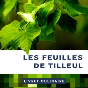 Utiliser les feuilles de tilleul en cuisine Utiliser les feuilles de tilleul en cuisine