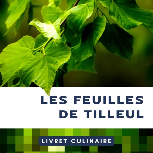 Utiliser les feuilles de tilleul en cuisine Utiliser les feuilles de tilleul en cuisine
