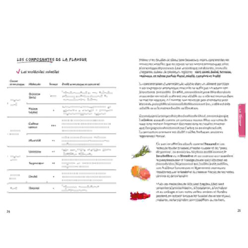 Utiliser les feuilles de tilleul en cuisine - décryptage aromatique Utiliser les feuilles de tilleul en cuisine - décryptage aromatique
