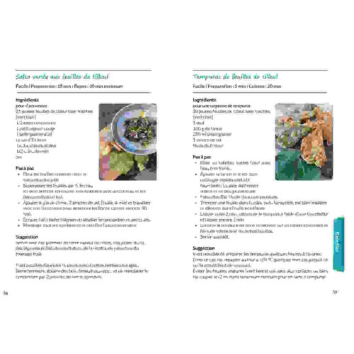 Utiliser les feuilles de tilleul en cuisine - recettes Utiliser les feuilles de tilleul en cuisine - recettes