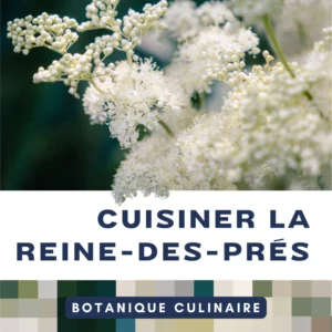 Cuisiner la reine des prés - Livre de botanique culinaire