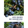 Botanique culinaire - Les baies de genièvre Botanique culinaire - Les baies de genièvre