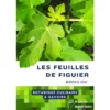 Botanique culinaire - Les feuilles de figuier Botanique culinaire - Les feuilles de figuier