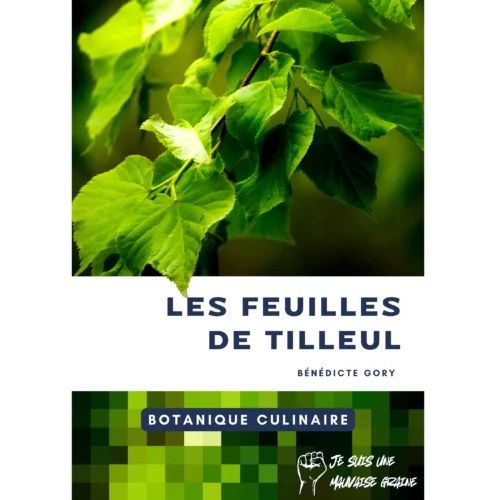Botanique culinaire - Les feuilles de tilleul Botanique culinaire - Les feuilles de tilleul