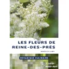 Botanique culinaire - Les fleurs de reine des prés Botanique culinaire - Les fleurs de reine des prés
