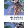 Botanique culinaire - Les racines de benoîte Botanique culinaire - Les racines de benoîte